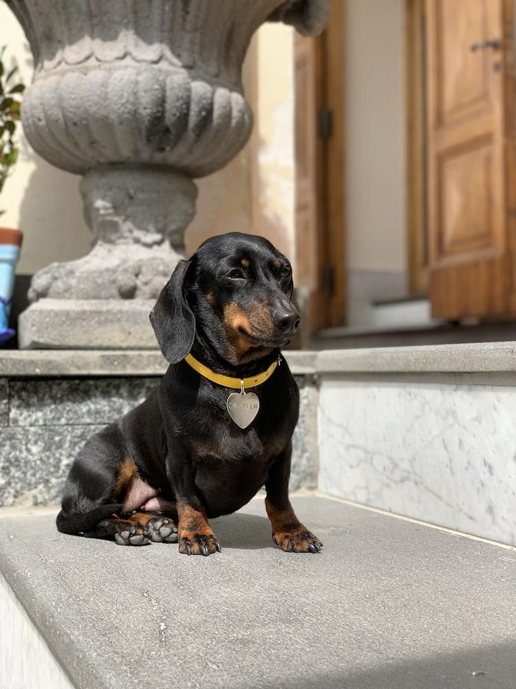 Hotel Bonadies Ravello Kültér fotó